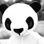 Noon Elite Recruitment agent Panda